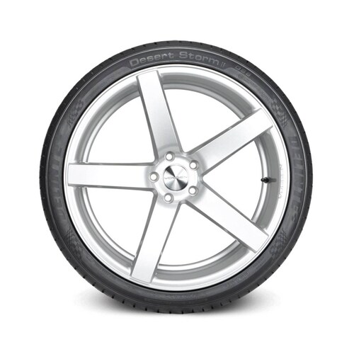 Llanta 225/40 R20 92WDS8 Desert Storm Delinte 
