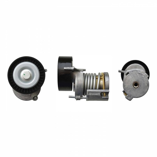 Polea Tensor Alternador 030145299F Bruck-Germany 