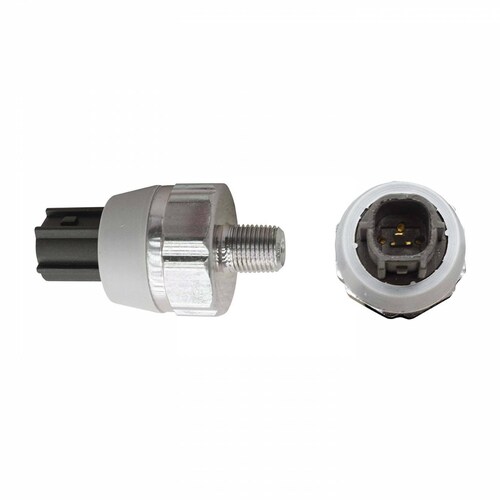 Interruptor Bulbo Aceite 252404M40E Bruck-Germany 