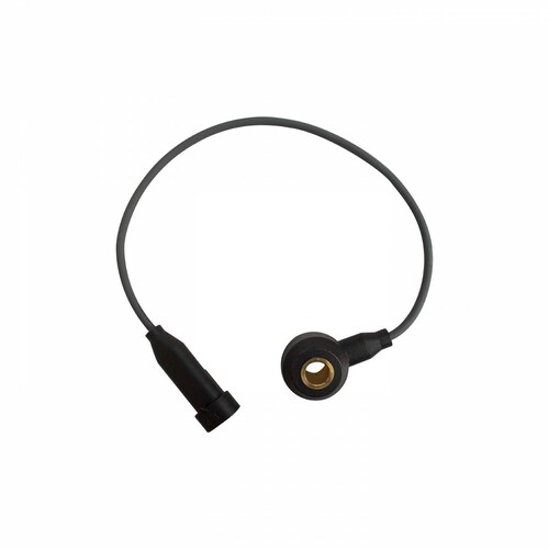 Sensor Detonacion 10456669 Bruck-Germany 