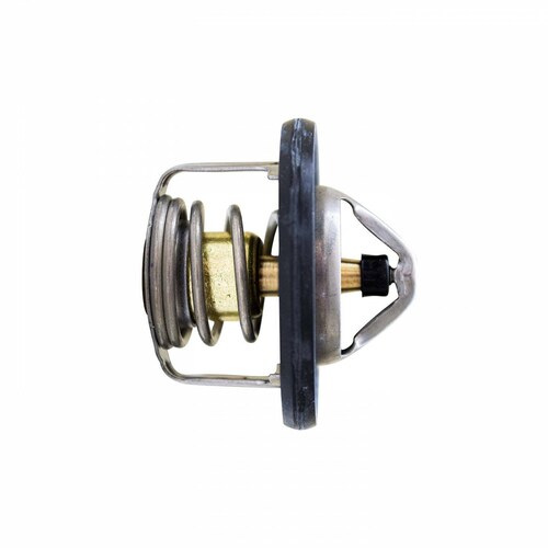 Termostato Bomba Agua 21200ET01A Bruck-Germany 