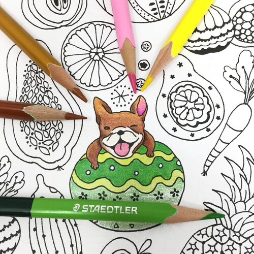 Libro para Colorear Un Millón de Perros con Colores de Madera 24x2 