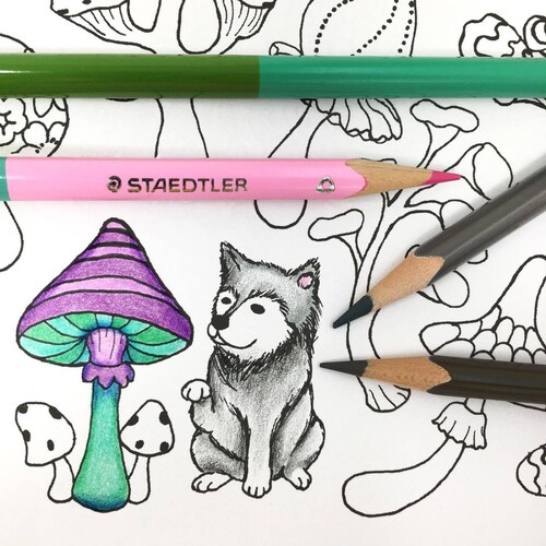 Libro para Colorear Un Millón de Perros con Colores de Madera 24x2 