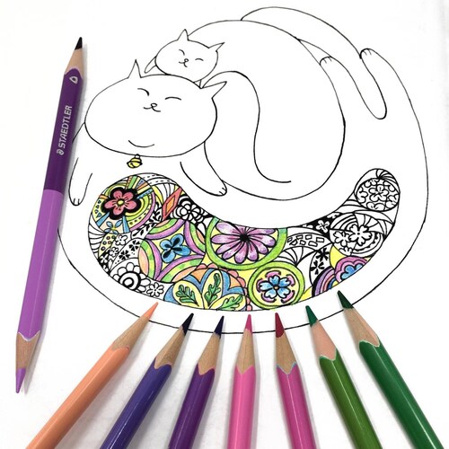 Libro Para Colorear Un Millón de Gatos con Colores de Madera 24x2 