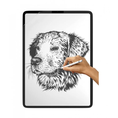 Protector pantalla mate para iPad pro 11 Dibujo Paper 2Pack