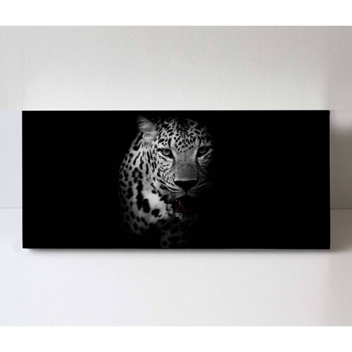 Cuadro Decorativo Canvas Retrato Leopardo 80x40