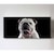 Cuadro Decorativo Canvas Retrato Bulldog inglés 80x40