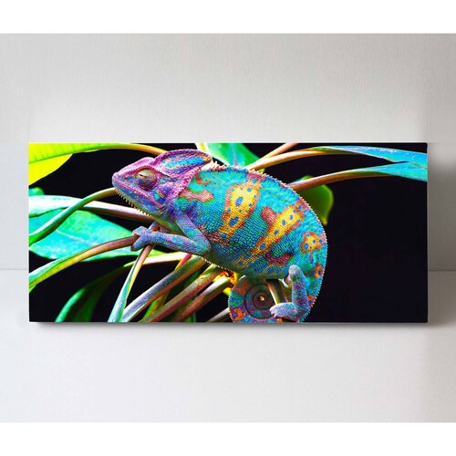 Cuadro Decorativo Canvas Camaleón de Yemen 160x80