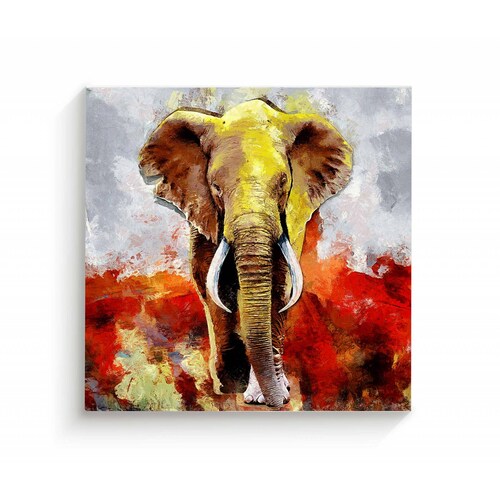 Cuadro Decorativo Canvas Pintura Elefante rojo 100x100
