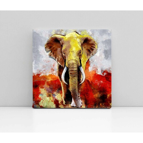 Cuadro Decorativo Canvas Pintura Elefante rojo 100x100