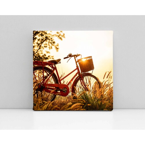 Cuadro Decorativo Canvas Bicicleta colorida 50x50