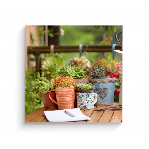 Cuadro Decorativo Canvas Plantas decorativas 30x30