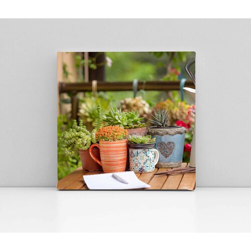 Cuadro Decorativo Canvas Plantas decorativas 30x30