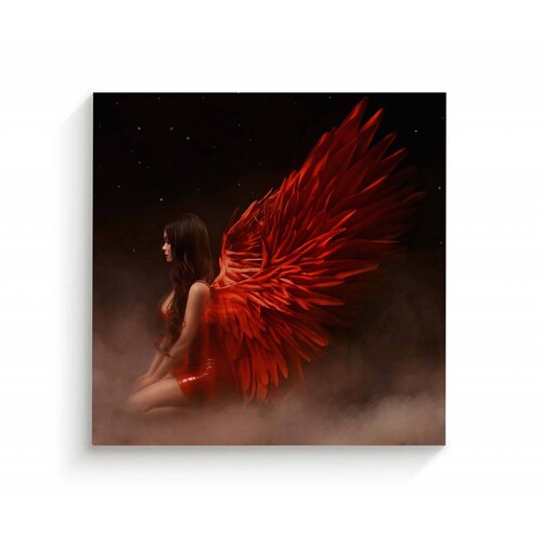 Cuadro Decorativo Canvas Angel con alas rojas 70x70