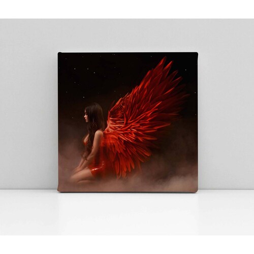 Cuadro Decorativo Canvas Angel con alas rojas 70x70