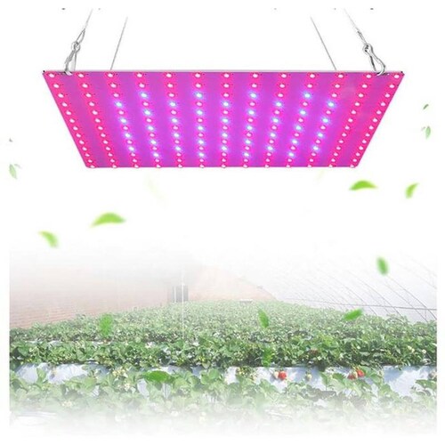 Luz LED UV Panel Ultra Violeta, MXGWG-007-2, 15Pzs, 120/265V, 60Hz, 169LED, Fotosíntesis y Crecimiento de Plantas,, GrowLight
