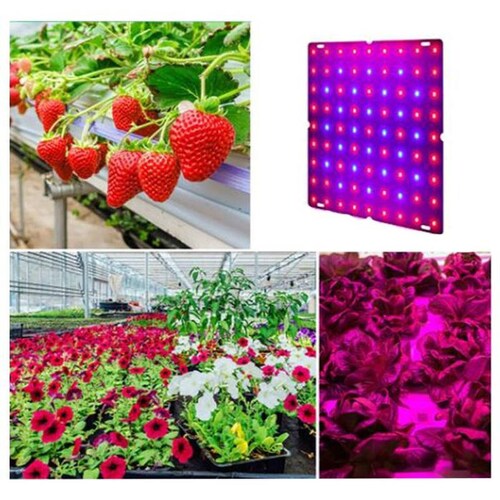 Luz LED UV Panel Ultra Violeta, MXGWG-007-2, 15Pzs, 120/265V, 60Hz, 169LED, Fotosíntesis y Crecimiento de Plantas,, GrowLight