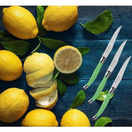 Juego de Cuchillos Profesionales MXEGE-012-1 18 pzas 23 cm Verde Acero Inoxidable Cuchillo para carne, LaguioleGreen