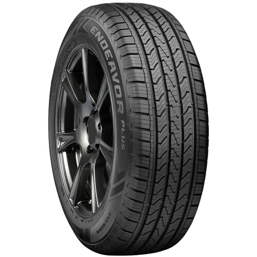 PAQUETE DE 2 LLANTAS 255/55R20 COOPER ENDEAVOR PLUS BLEM 110H