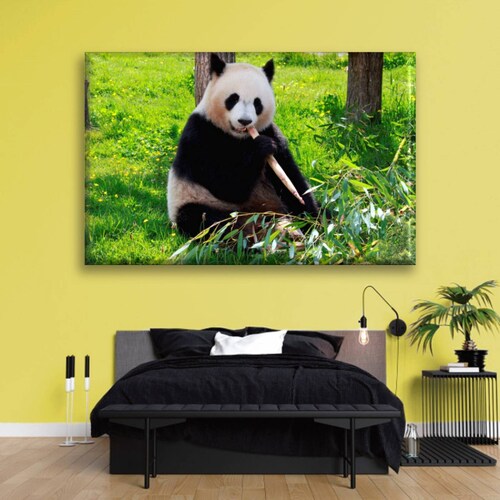 Cuadro Canva Decorativo Oso Panda Alimentándose 90X60 cm