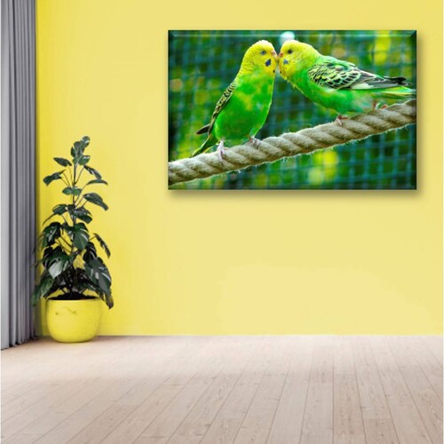 Cuadro Canva Decorativo Pericos Australianos 90X60 cm