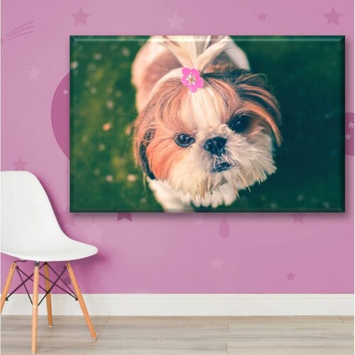 Cuadro Canva Decorativo Bichón Maltés 90X60 cm
