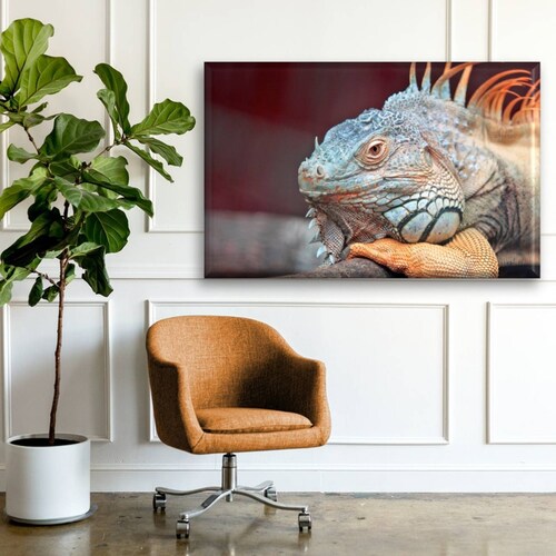 Cuadro Canva Decorativo Iguana De Perfil 90X60 cm