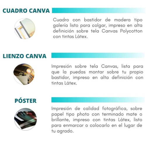 Cuadro Canva Decorativo Medusas Ilustración 80X80 cm.