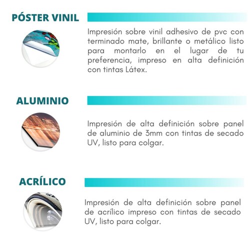 Cuadro Canva Decorativo Medusas Ilustración 80X80 cm.