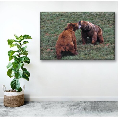 Cuadro Canva Decorativo Osos Cafes 60X40 cm