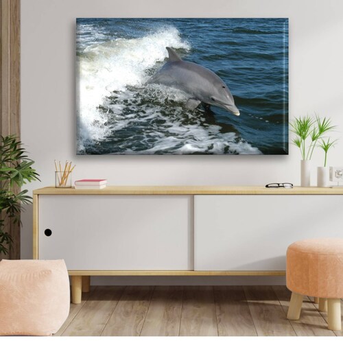 Cuadro Canva Decorativo Delfin 60X40 cm