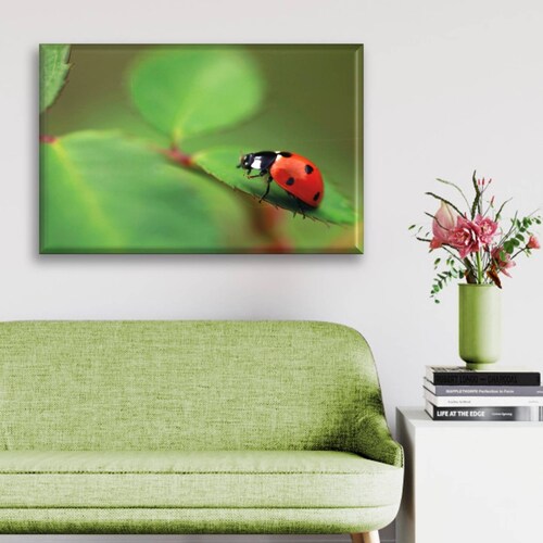 Cuadro Canva Decorativo Insecto Catarina 60X40 cm