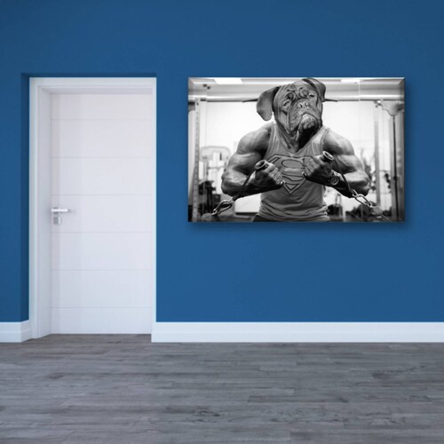 Cuadro Canva Decorativo Dogo Gym 60X40 cm