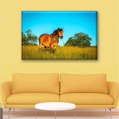 Cuadro Canva Decorativo Caballo Café 60X40 cm