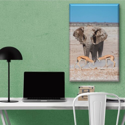 Cuadro Canva Decorativo Elefante Y Gacelas 60X40 cm