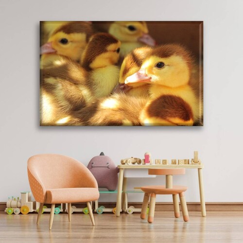 Cuadro Canva Decorativo Patitos 60X40 cm