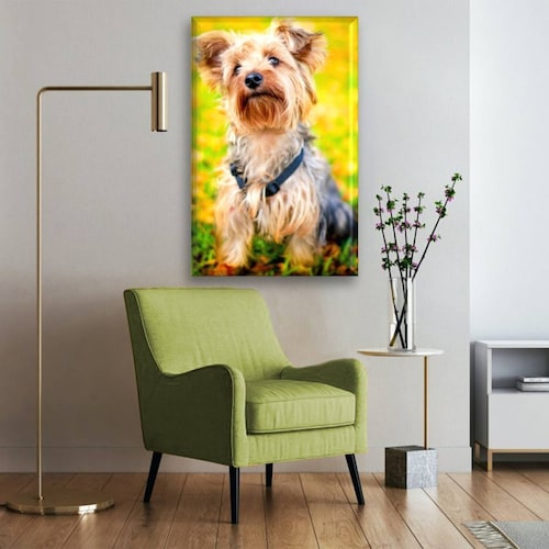 Cuadro Canva Decorativo Yorkshire Terrier 60X40 cm