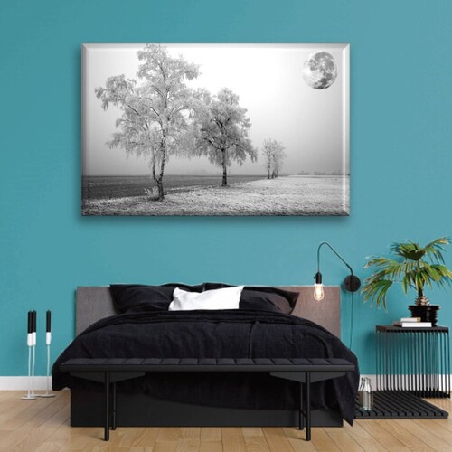 Cuadro Canva Decorativo Paisaje Nevado 60X40 cm