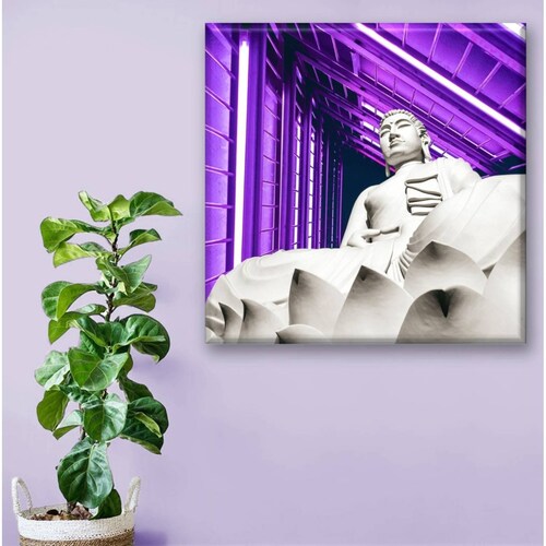 Cuadro Canva Decorativo Estatua Neón 80X80 cm