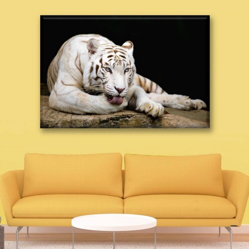Cuadro Canva Decorativo Tigre Descansando 90X60 cm