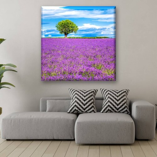 Cuadro Canva Decorativo Arbol En Campo De Lavanda 40X40 cm