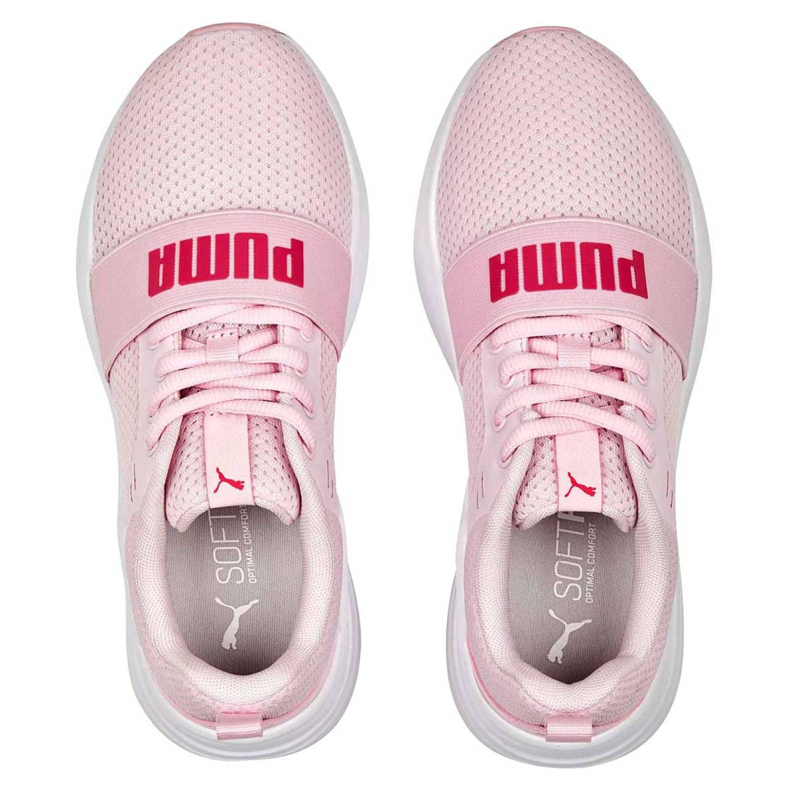 Puma rosa viejo best sale