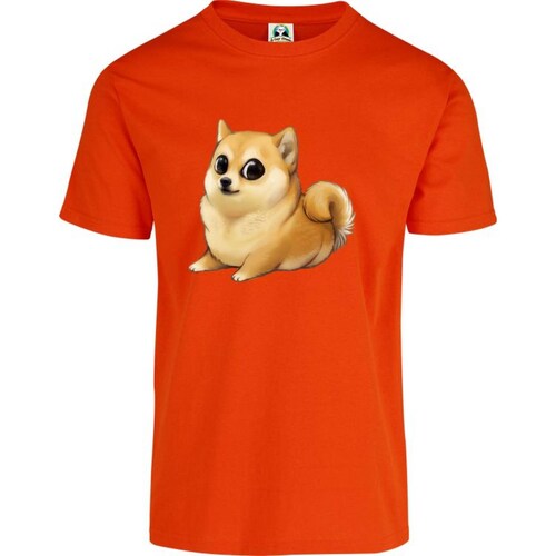 Playera Niño Niña Cuyo Virtuoso Cheems meme 037