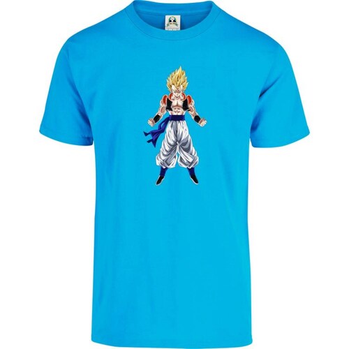 Playera Cuyo Virtuoso Dragon Ball Z Anime 038