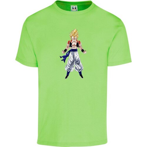 Playera Cuyo Virtuoso Dragon Ball Z Anime 038