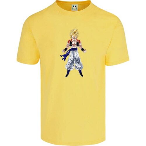 Playera Cuyo Virtuoso Dragon Ball Z Anime 038