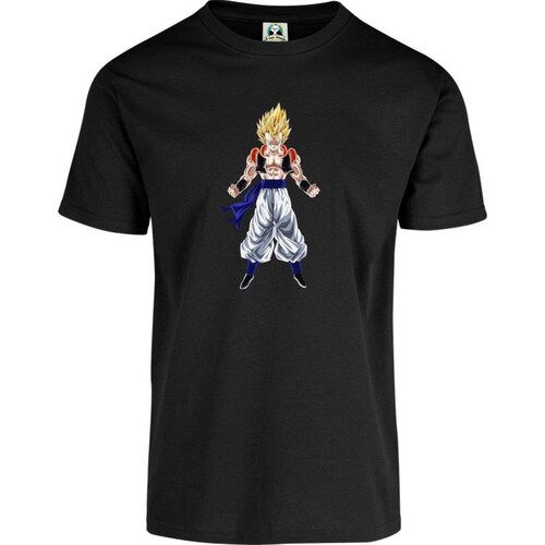 Playera Cuyo Virtuoso Dragon Ball Z Anime 038