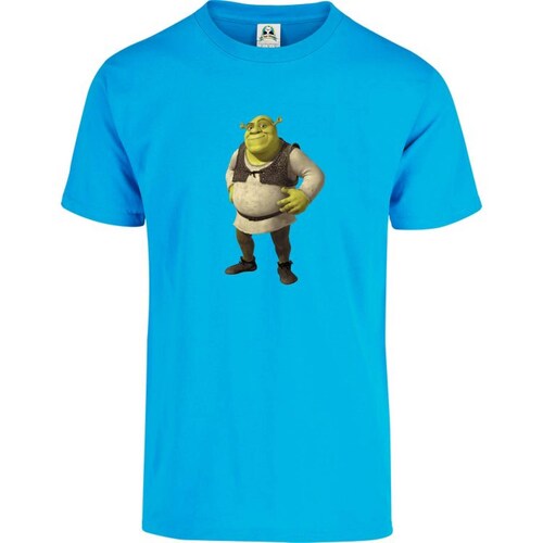 Playera Cuyo Virtuoso Shrek 045