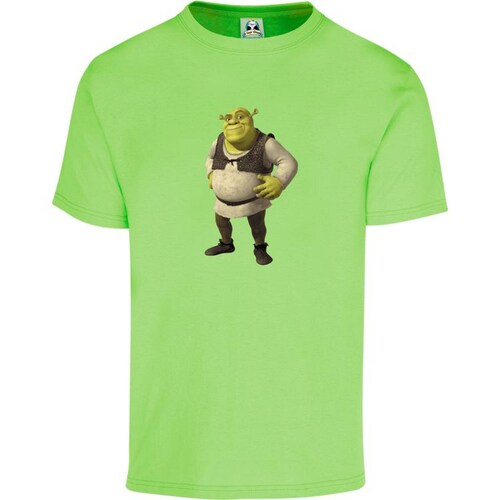 Playera Cuyo Virtuoso Shrek 045