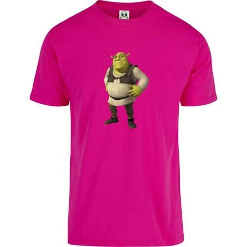 Playera Cuyo Virtuoso Shrek 045